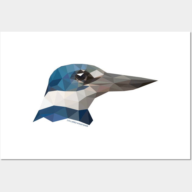 Collared Kingfisher Wall Art by GeometricWildlife